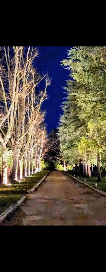 La Casa Nel Parco Luxury B&B San Lazzaro di Savena Exterior photo